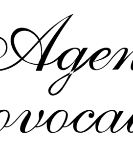 agent-provocateur-logo