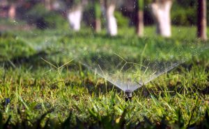 Small Yard Fixes That Instantly Boost Curb Appeal